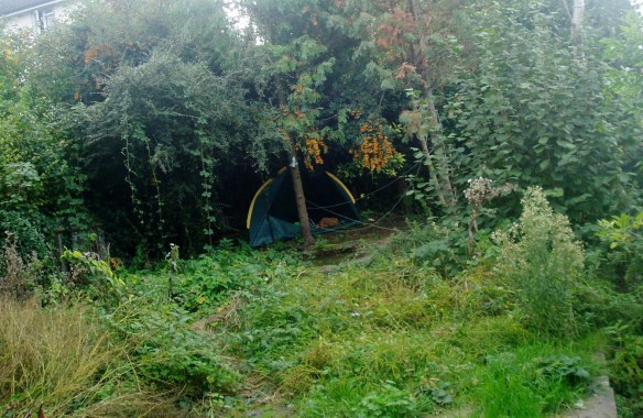 Mental mental radio rental!