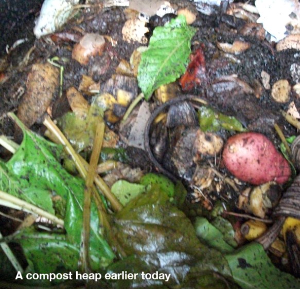 what's in your heap?