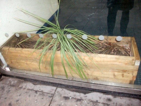 Pity the poor planter