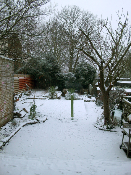 westminster council moment 1.13 (lo)