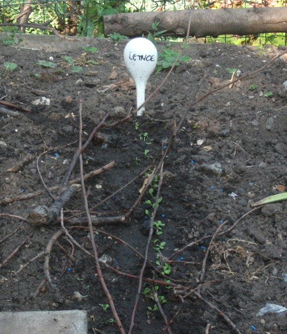 artisan plant labels for sale