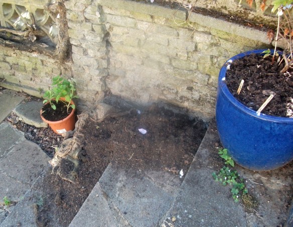 once there was spuds..