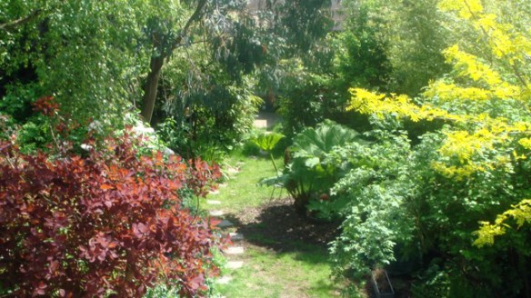 Don Letts garden2