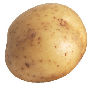 potato-bullet