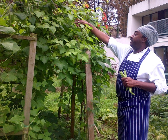 Bring out the beans!