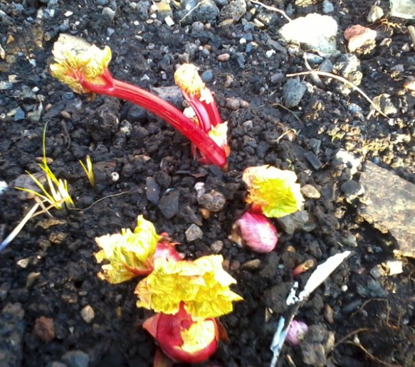 if it don't fit don't force it