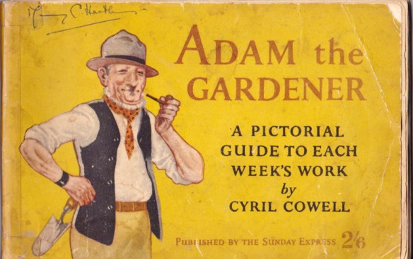 The dandy highway man