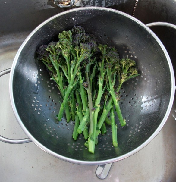 purple people eaters