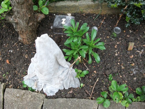Fleece and jar and lid