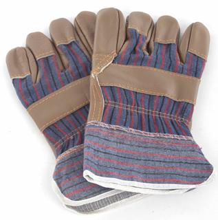 the queen of council gloves