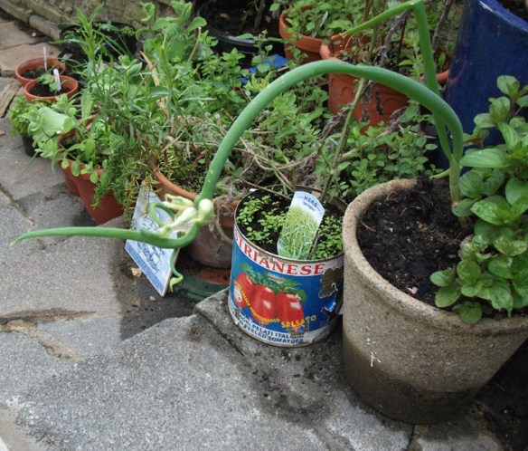 walking back to happiness