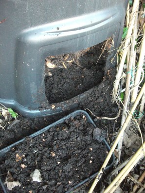 compost bin 2015