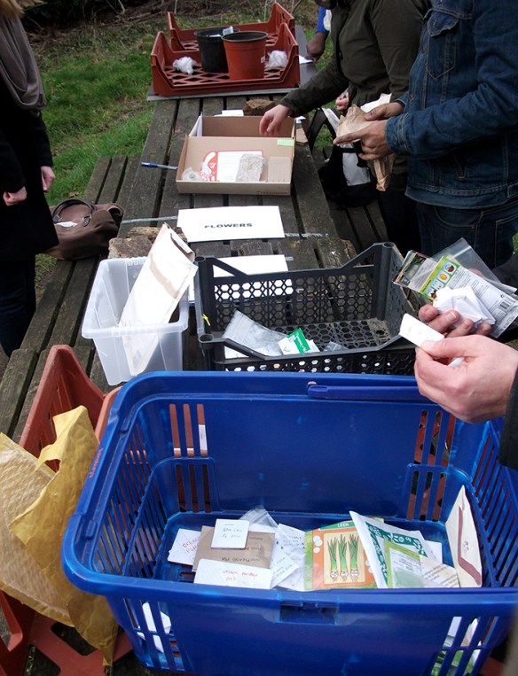 Seedswap deptford