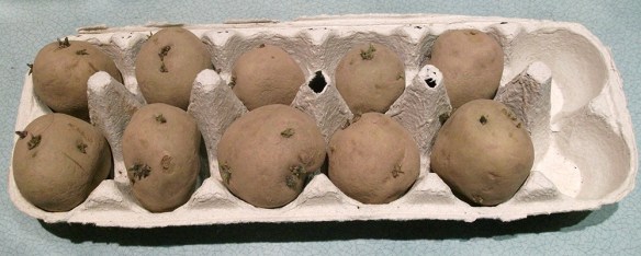 spuds on the chit feb 2015