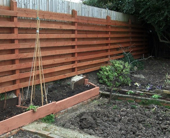 Raised bed and bean canes