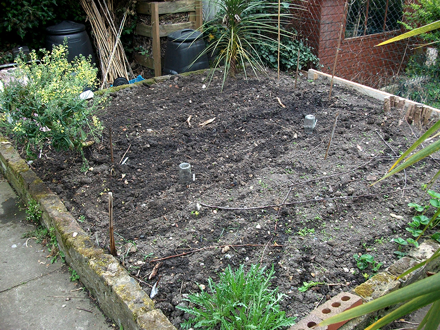 back bed of the week