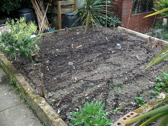 back bed of the week