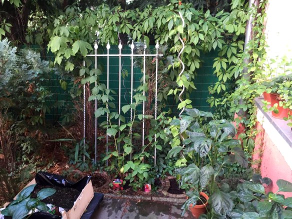 Phil Harmony Balcony_1