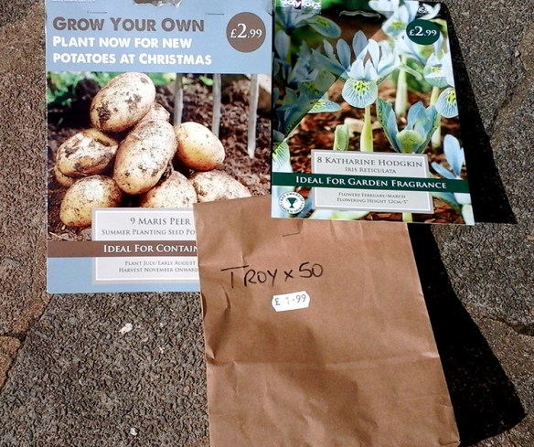 shannons on a saturday_2