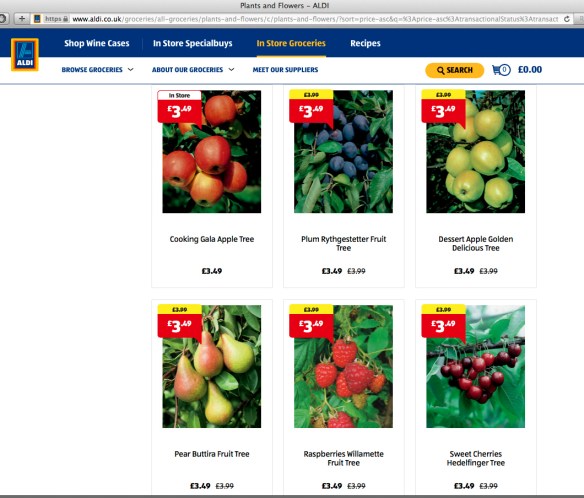 aldi fruits