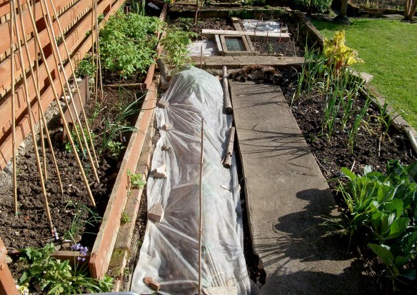 spuds under fleece and things