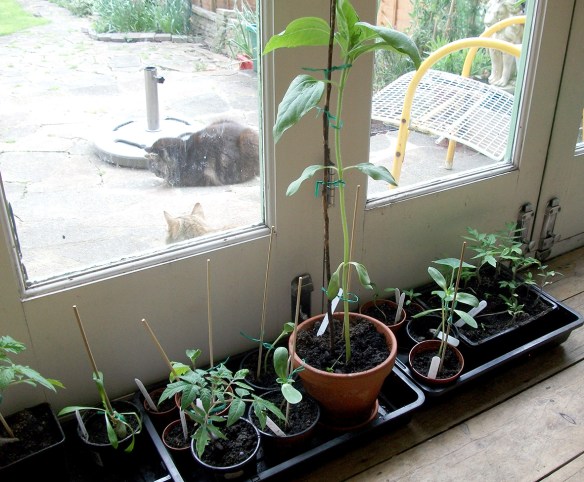 Waiting for the weather to turn