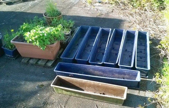 Jochen pots pre planting