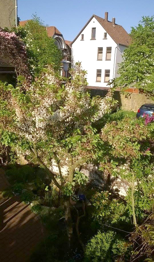 Jochen_various fruit_2