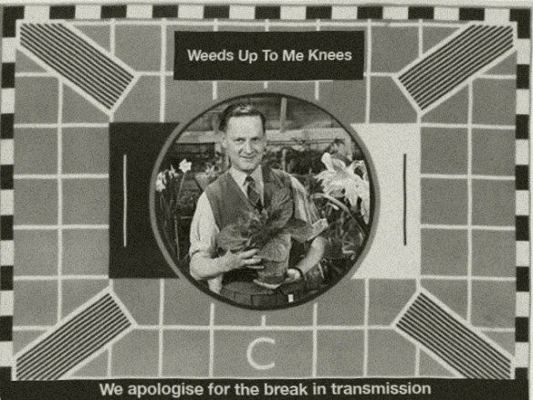 weeds-test-card_flat-_final