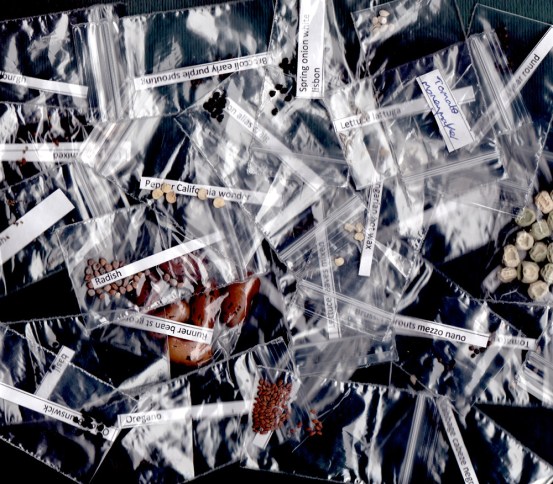 ocd-seed-selection-without